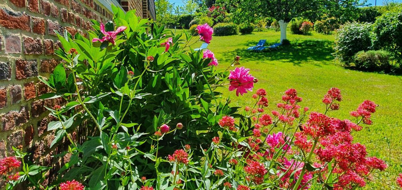 Bed and Breakfast Les Mout'Anes Saint-Hilaire-sur-Helpe Exterior foto