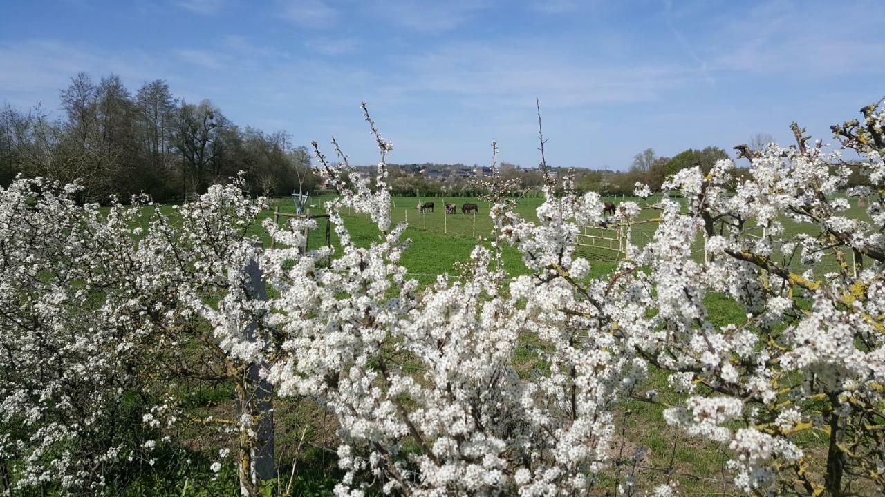 Bed and Breakfast Les Mout'Anes Saint-Hilaire-sur-Helpe Exterior foto